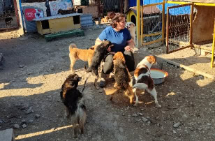 rehome